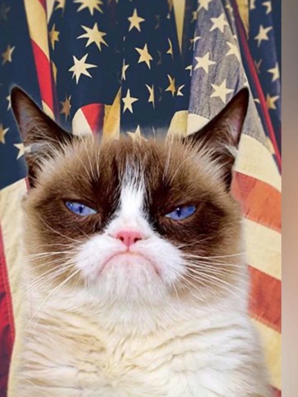 Craft Beads, GRUMPY CAT - NOT HAPPY, Jewelry Supplies, loose bulk beads